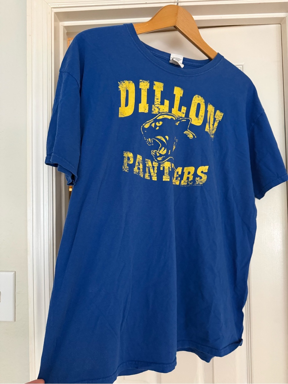 Fruit of the Loom Yellow Dillon Panthers Graphic- Imogene+Willie vibes